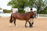 SBM_10266