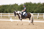 SBM_008851