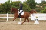 SBM_012010