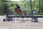 BPP_5544