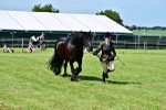 SBM_08070