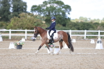 SBM_015971