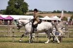 SBM_17730_Class 81 - 83 TSR Ridden Amateur of the Year Horses