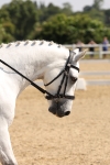 SBM_003451