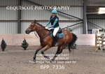 BPP_7336