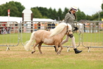 SBM_04447