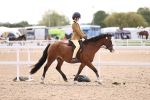 Class 409 - Grassroots Ridden - Pony portfolio