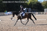BPP_9281