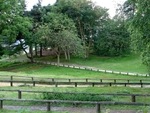 Leith Hill - 11