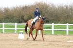 SBM_007654
