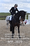 CLASS 3 FRI Senior British Novice/ 90cm Open portfolio