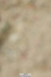 230701A-121616-05703