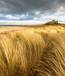Sand Dunes at Bamburgh (2)