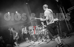 Pigsx7-114