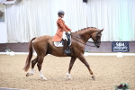 SBM_011399