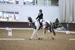SBM_001950