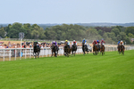 Race 3 14.45pm EBF Restricted Maiden Stakes portfolio