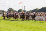 240824-Race 7-Sir Busker-9232