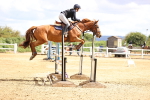 SBM_003954