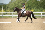 SBM_008879