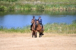 WJ6_8000