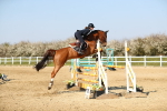 SBM_001198