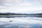 Reflections, Lake Windermere (2)