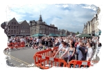 Music Festival Crowd F
