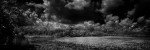 Lake Apopka III