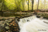 Stepping Stones in Autumn - Tollymore Forest Park