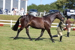 3E7A6127