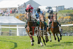 Guernsey Race Club Horse Racing 2018-26