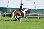 SBM_11598