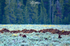 399  the Kids_7932