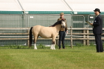 SBM_00482