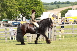 SBM_07026