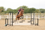 SBM_022901_Class 1 - Clear Round