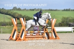 CLASS 2 Club/ Unaffiliated 80cms Open portfolio