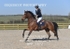 BPP_7572