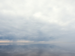 SKYLINE, 2018 -  LONG POINT