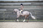 SBM_007081