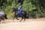WJ6_8694