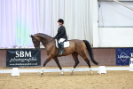 SBM_004382
