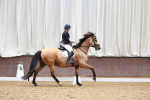 SBM_000875