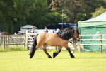SBM_00805