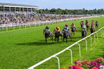 060926-Race 6-Power Fizz-0386