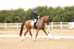 SBM_001378