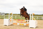 SBM_009020