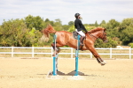 SBM_006513
