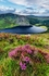 Lough Tay